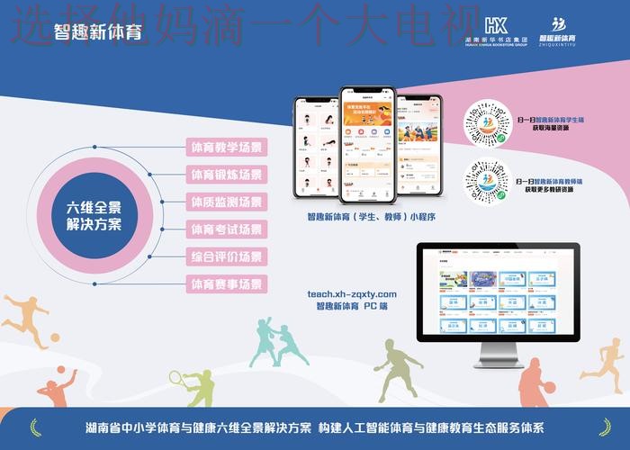 探索博雅体育平台入口的多样功能